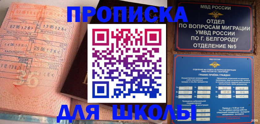 прописка иностранных граждан в Видном